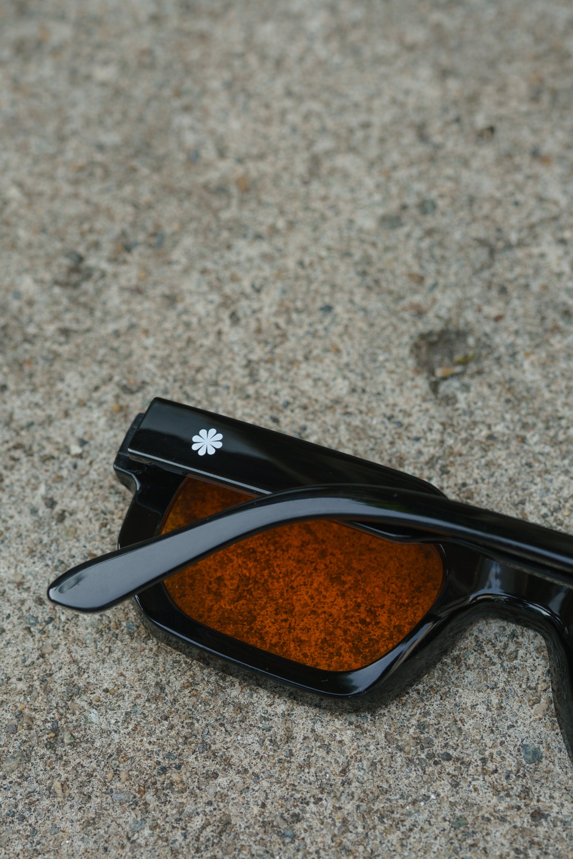 GOLDEN HOUR SHADES
