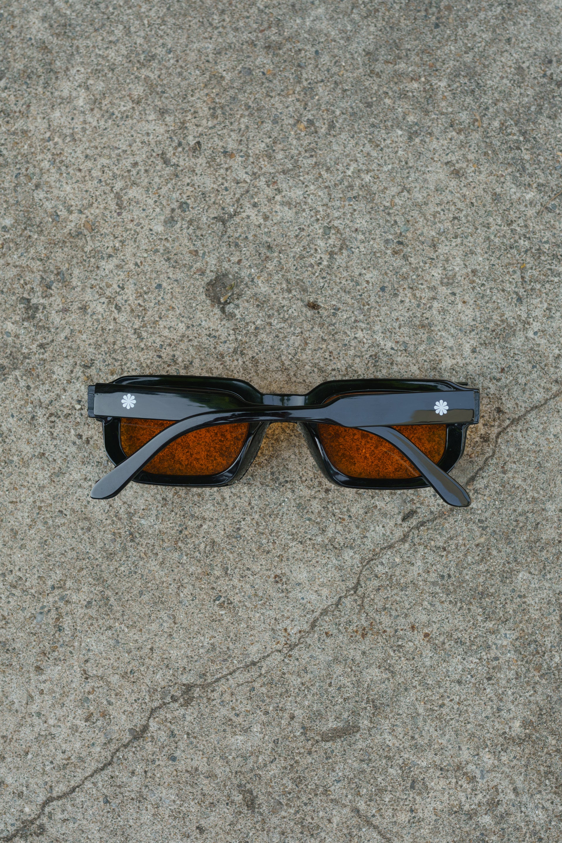 GOLDEN HOUR SHADES